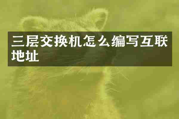 三层交换机怎么编写互联地址