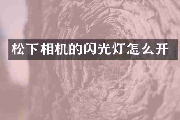 松下相机的闪光灯怎么开