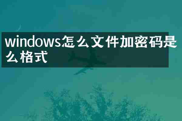 windows怎么文件加密码是什么格式