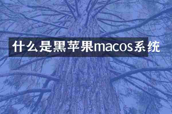 什么是黑苹果macos系统