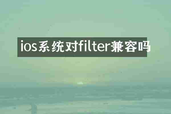 ios系统对filter兼容吗