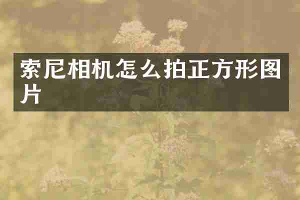 索尼相机怎么拍正方形图片
