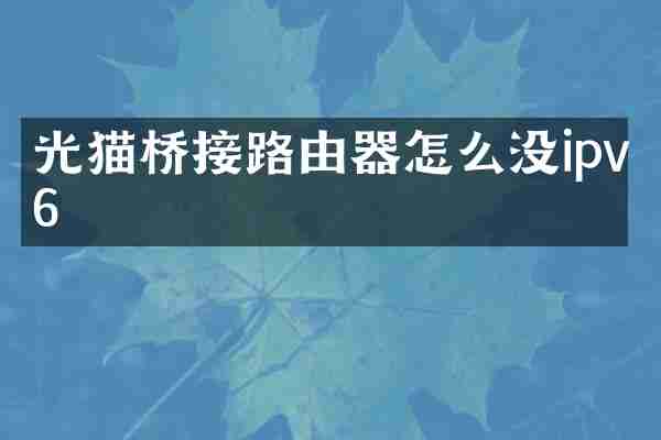 光猫桥接路由器怎么没ipv6
