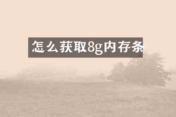 怎么获取8g内存条