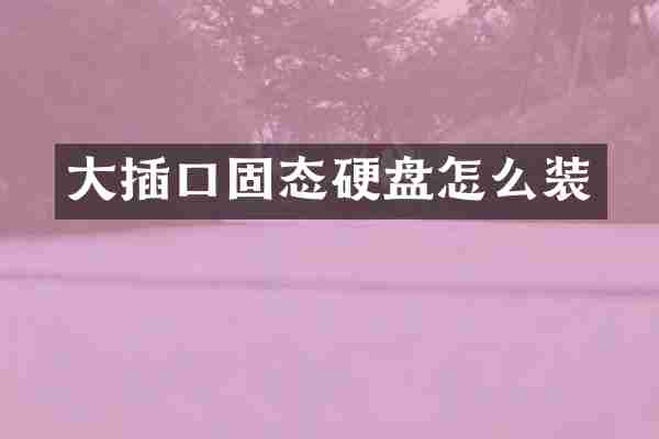 大插口固态硬盘怎么装