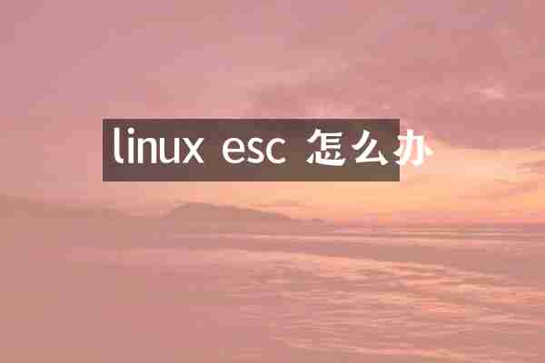 linux esc 怎么办