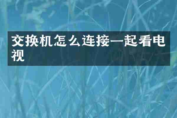 交换机怎么连接一起看电视