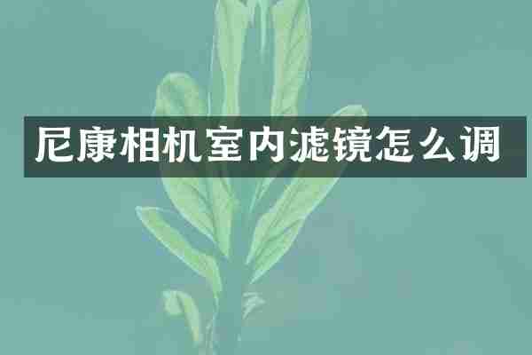 尼康相机室内滤镜怎么调