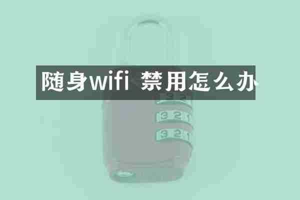 随身wifi 禁用怎么办