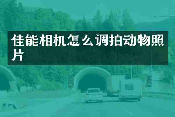 佳能相机怎么调拍动物照片