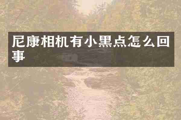 尼康相机有小黑点怎么回事