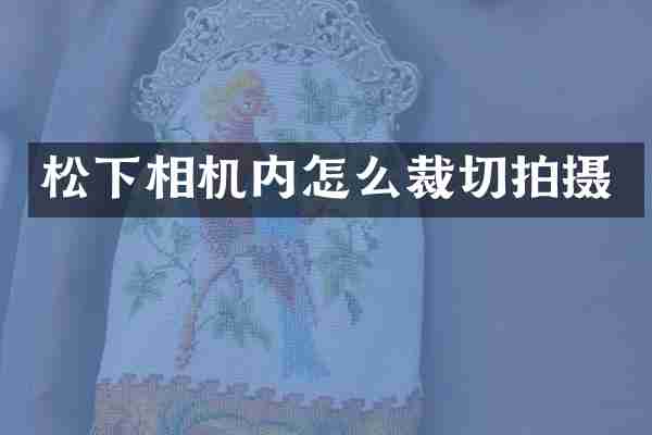 松下相机内怎么裁切拍摄