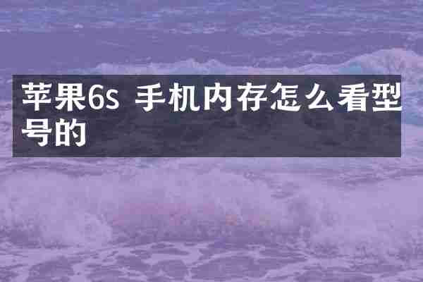 苹果6s 手机内存怎么看型号的