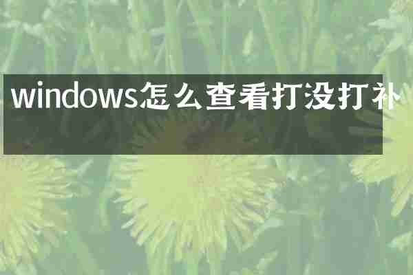 windows怎么查看打没打补丁
