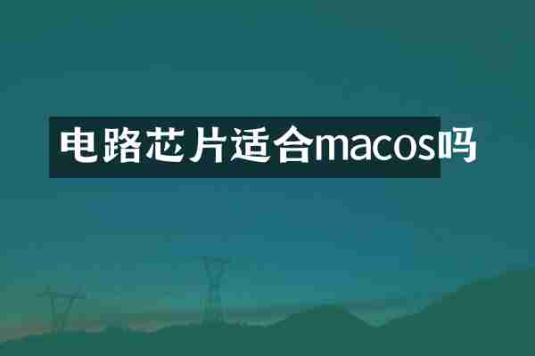 电路芯片适合macos吗