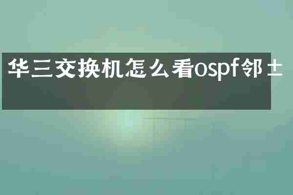 华三交换机怎么看ospf邻居