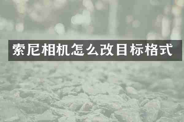 索尼相机怎么改目标格式