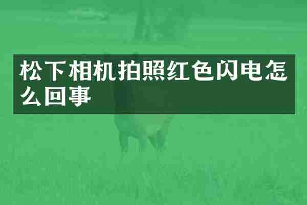 松下相机拍照红色闪电怎么回事