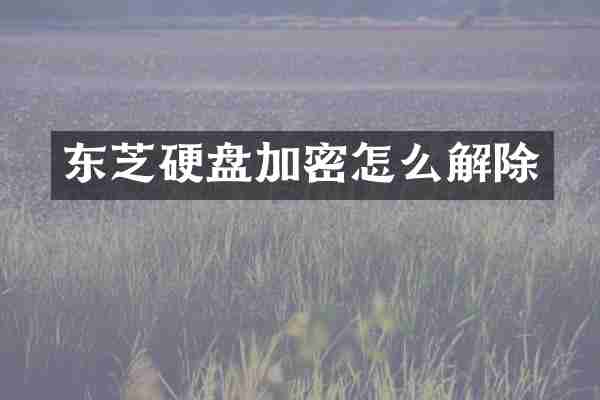东芝硬盘加密怎么解除