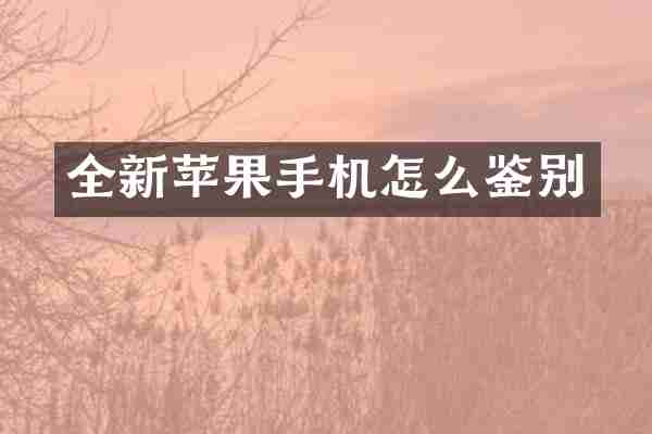 全新苹果手机怎么鉴别