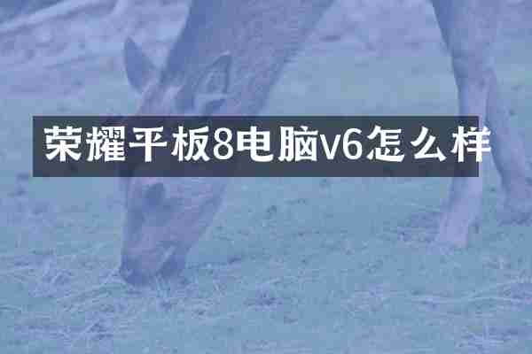 荣耀平板8电脑v6怎么样