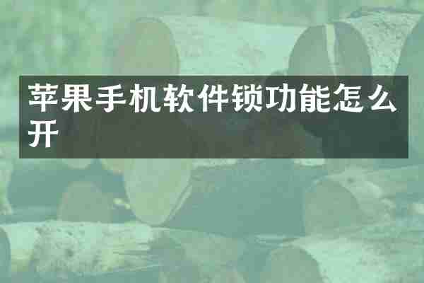 苹果手机软件锁功能怎么开