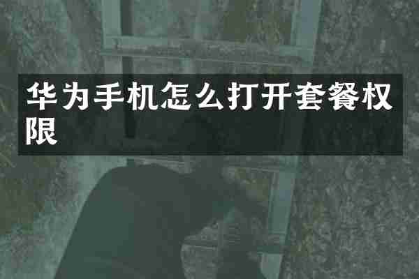华为手机怎么打开套餐权限