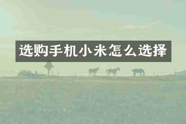选购手机小米怎么选择