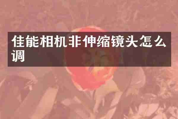 佳能相机非伸缩镜头怎么调