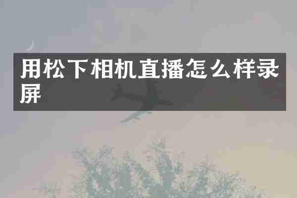用松下相机直播怎么样录屏