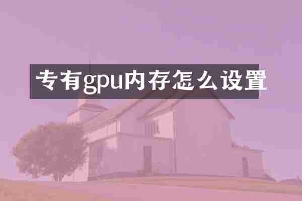 专有gpu内存怎么设置