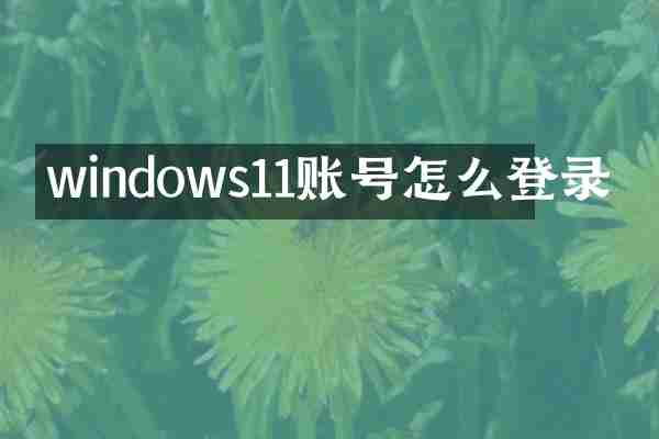windows11账号怎么登录