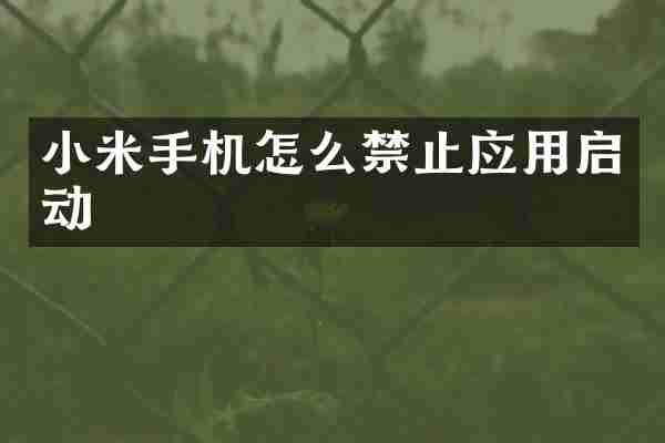 小米手机怎么禁止应用启动