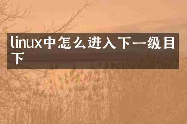 linux中怎么进入下一级目录下