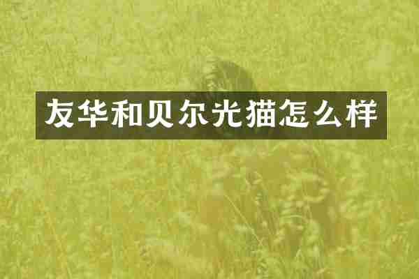 友华和贝尔光猫怎么样