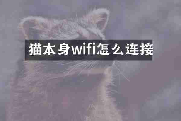 猫本身wifi怎么连接