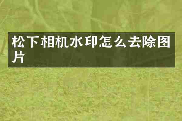 松下相机水印怎么去除图片