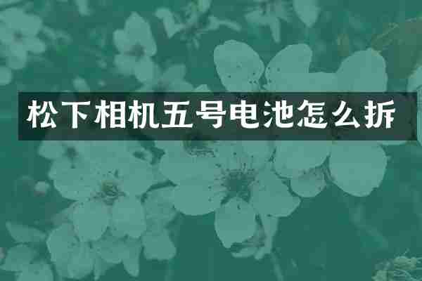 松下相机五号电池怎么拆