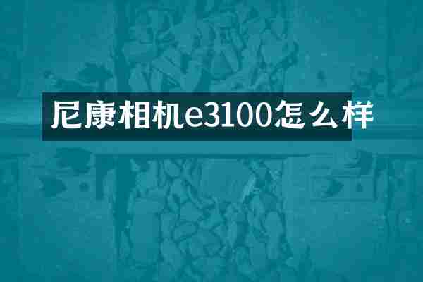 尼康相机e3100怎么样