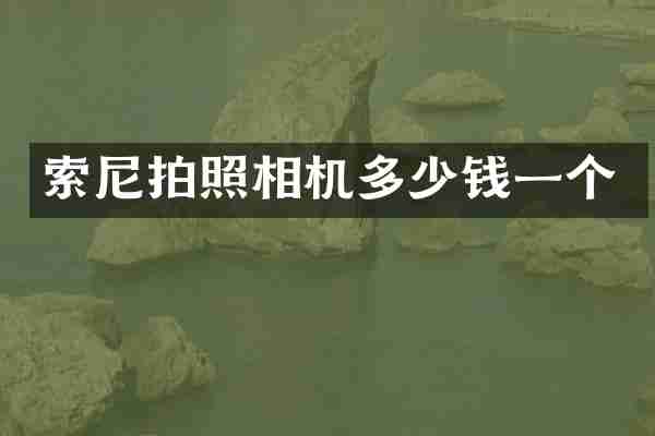 索尼拍照相机多少钱一个