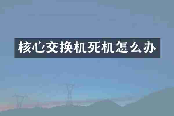 核心交换机死机怎么办
