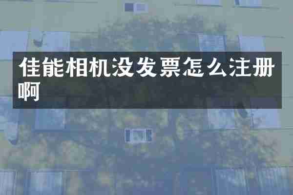 佳能相机没发票怎么注册啊