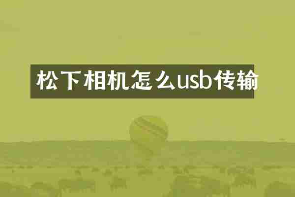 松下相机怎么usb传输