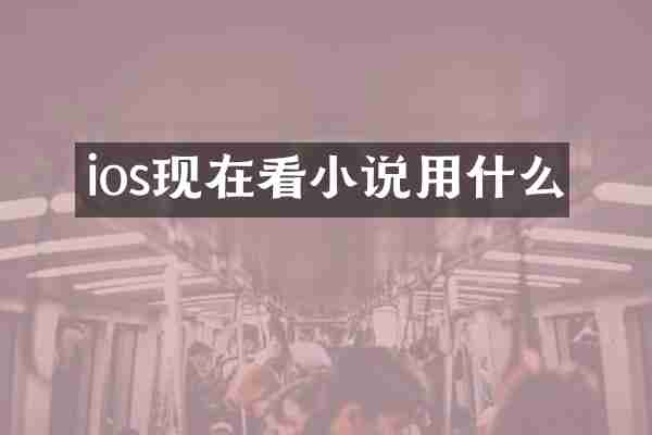 ios现在看小说用什么