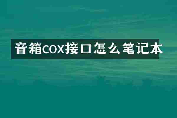 音箱cox接口怎么笔记本