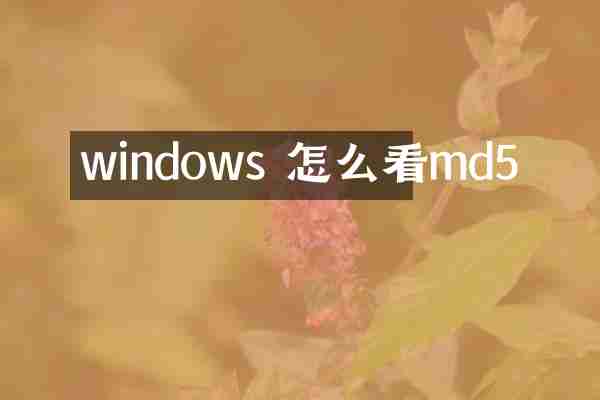 windows 怎么看md5