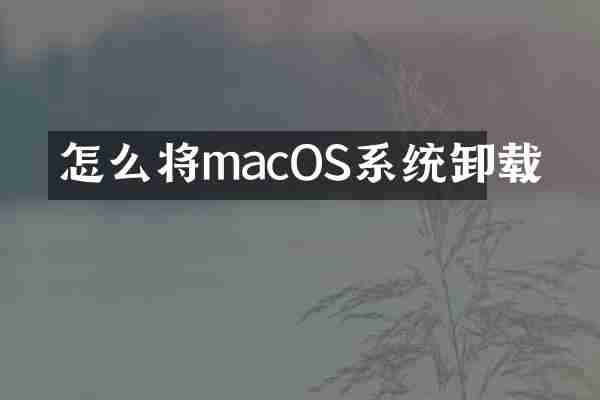 怎么将macOS系统卸载