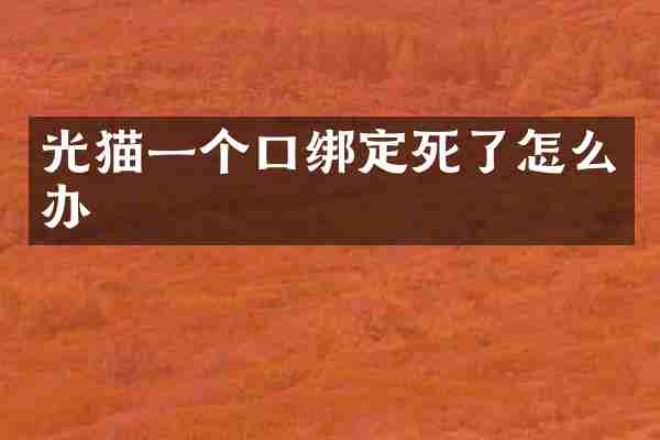 光猫一个口绑定死了怎么办