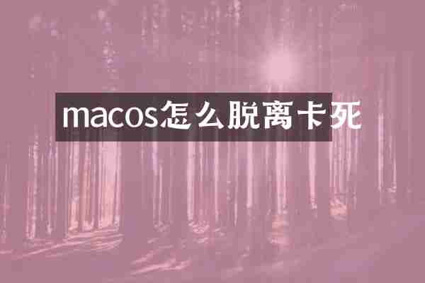 macos怎么脱离卡死