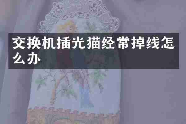 交换机插光猫经常掉线怎么办